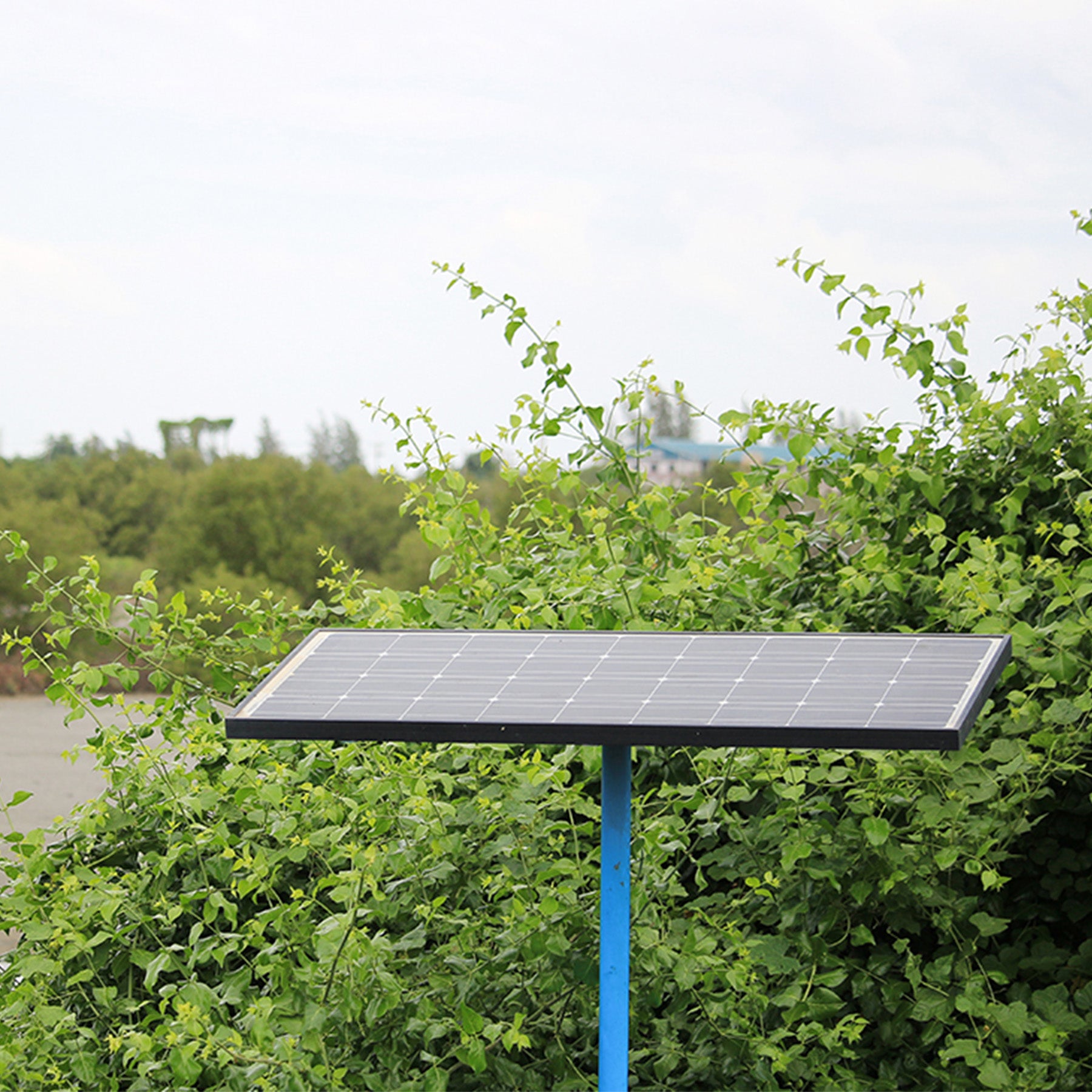 40 Watt, 12V Single Cell Monocrystalline Solar Panel